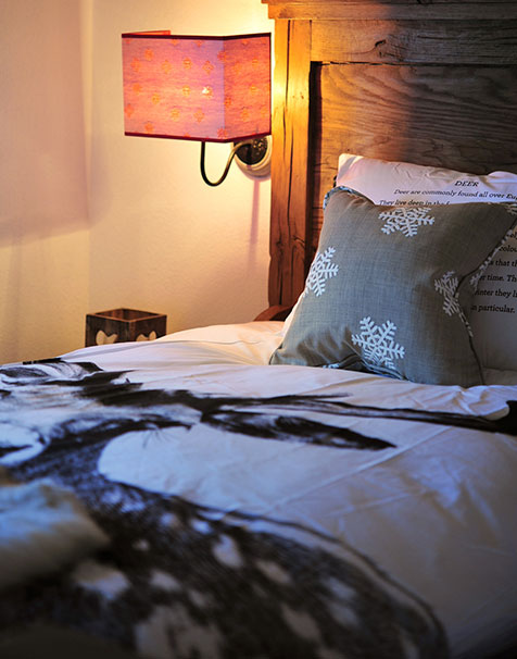 аренда дома в швейцарских Альпах