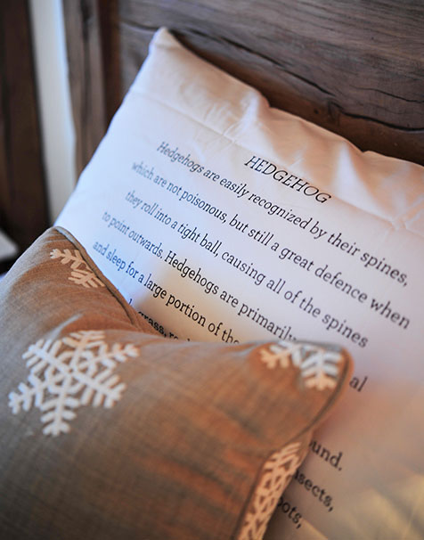 домики в горах Европы